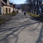 2aaaca1b-f9e2-44d0-a22c-10b7dfb12684